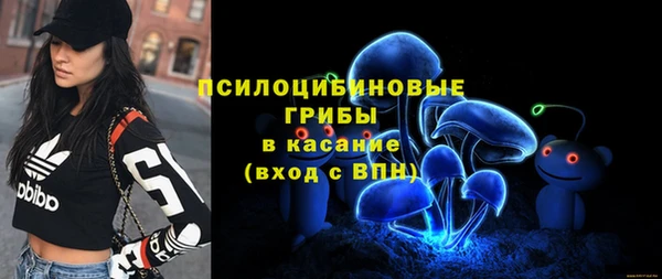 хмурый Абаза