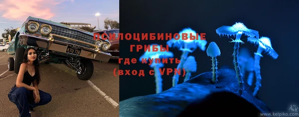 ALPHA-PVP Алексин
