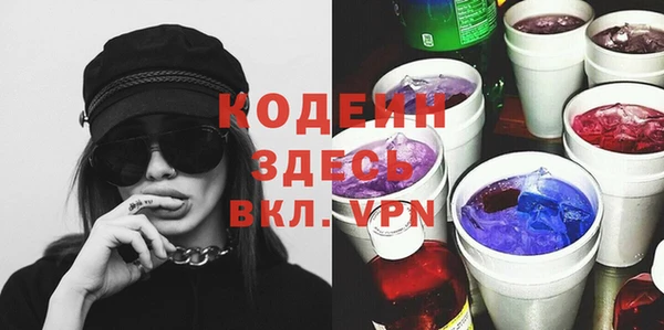 хмурый Абаза